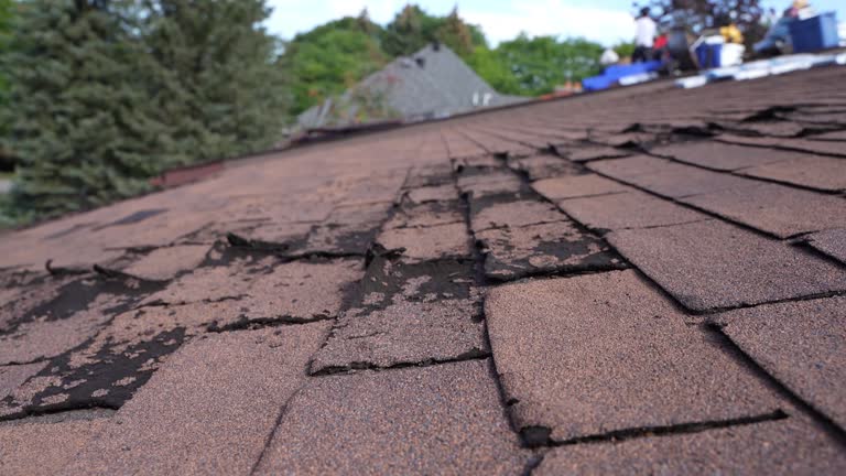 Best Tile Roofing Installation  in Pocatello, ID