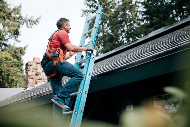 Best Roofing for New Construction  in Pocatello, ID