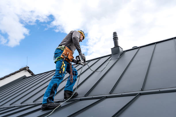 Best Roof Coating and Sealing  in Pocatello, ID