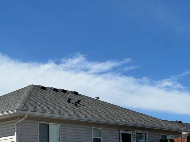 Best Flat Roofing  in Pocatello, ID