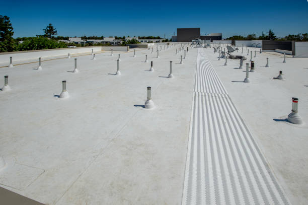 Best Roof Coating and Sealing  in Pocatello, ID